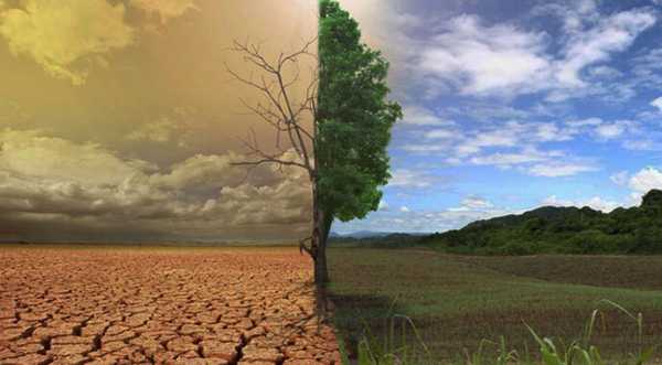 Канада використовує ШІ для прогнозування посухи на полях - INFBusiness