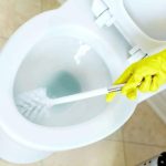 Блиск, як у 5-зірковому готелі: чим насправді чистять унітази професіонали - INFBusiness