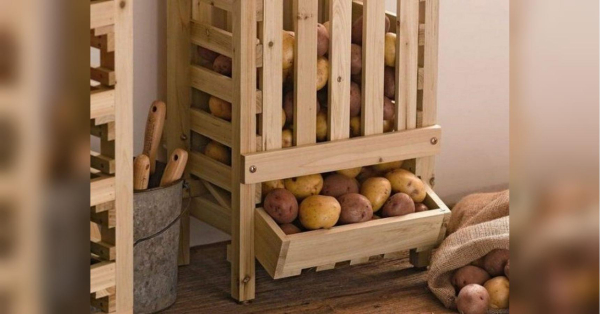 Картопля не проросте до пізньої весни, якщо знатимете ці секрети - INFBusiness