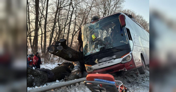 Автобус Відень — Київ розбився на Львівщині: є постраждалі (фото) - INFBusiness