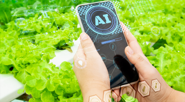 Перша вертикальна LLM для агросектору з відкритим кодом від Китаю - INFBusiness