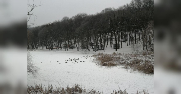 Через значне похолодання ДСНС оголосила червоний рівень небезпеки в Україні: коли і де морози сягнуть мінус 30 градусів - INFBusiness