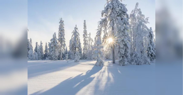 Україну знову накриє арктичний холод: синоптикиня назвала дати - INFBusiness