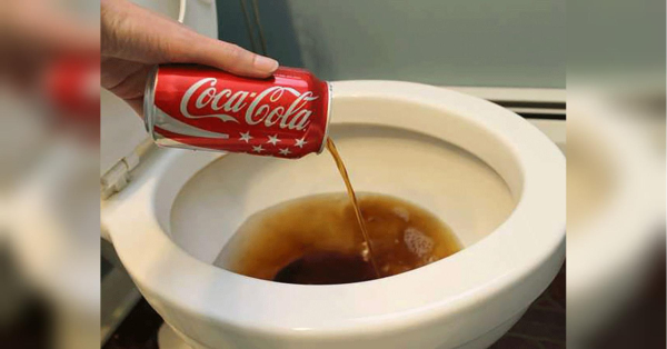 Люди заливають Coca-Cola в унітаз і залишаються в захваті: у чому прихований сенс - INFBusiness