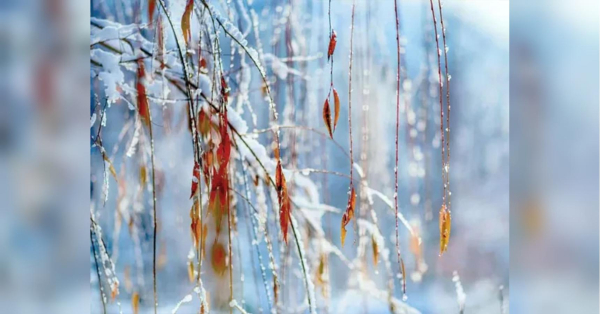 Обіцяне синоптиками похолодання прийшло в Україну: яких примх погоди чекати у вихідні - INFBusiness