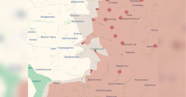 Гуляйполе на межі виживання: місто перетворилося на суцільну сіру зону — військовий - INFBusiness
