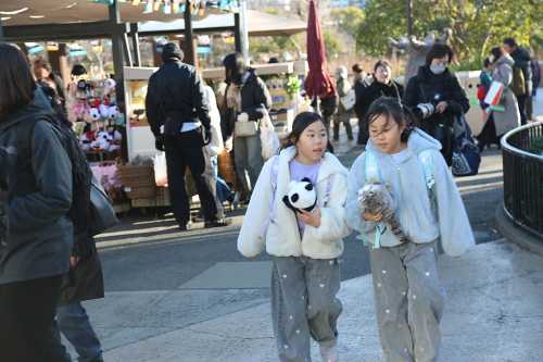 Жорстокість азіатської дипломатії: як Китай у Японії панд забирав - INFBusiness