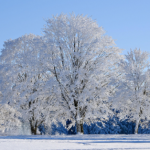Три дні протриматися: 25-градусний мороз накрив Україну, але ненадовго - INFBusiness