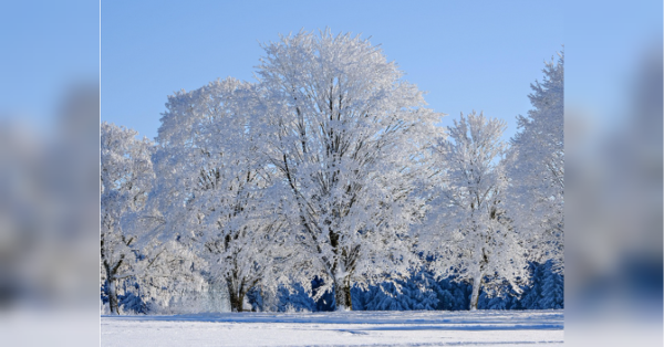 Три дні протриматися: 25-градусний мороз накрив Україну, але ненадовго - INFBusiness
