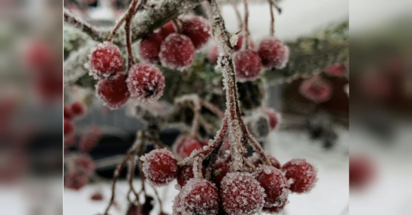 Дівам — завершувати домашні справи, Скорпіонам — приймати перспективні пропозиції: гороскоп на 7−8 лютого - INFBusiness