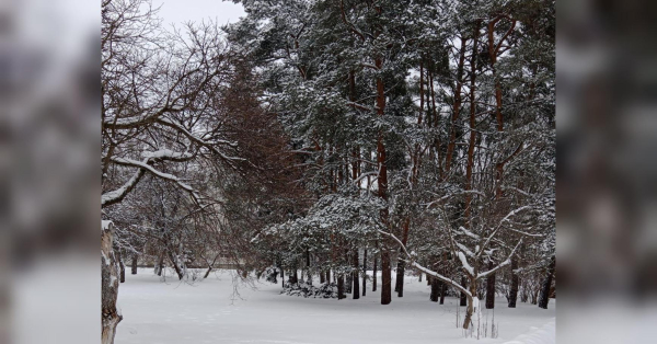 «Нова порція морозів»: в Україну знову йде похолодання - INFBusiness