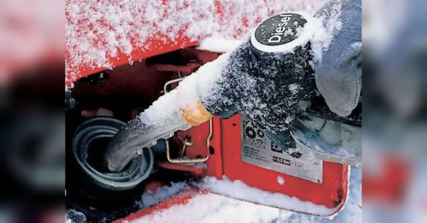 Дизель замерзає в мороз: експертка дала важливі поради водіям - INFBusiness