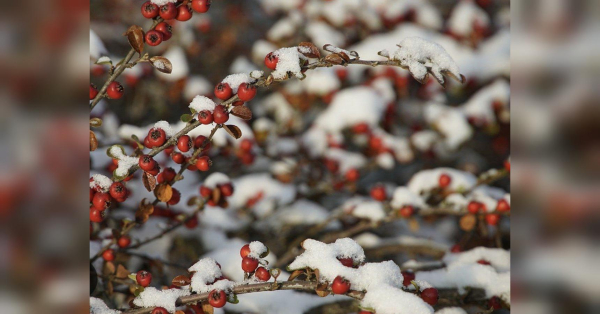 Близнюкам — уникати порожніх конфліктів, Терезам — шанс почати з чистого аркуша: гороскоп на 22 лютого - INFBusiness