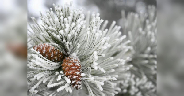 Тільцям варто відмовитися від алкоголю, а Водоліям — не ризикувати грошима: гороскоп на 16 лютого - INFBusiness