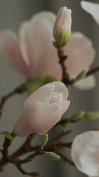 «Люди пишуть, що навіть через екран відчувають аромат моїх квітів», — майстриня з керамічної флористики Юлія Олійник - INFBusiness