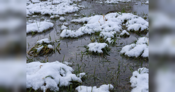 Зима розкисла на День закоханих: у вихідні синоптики прогнозують в Україні до +12 - INFBusiness