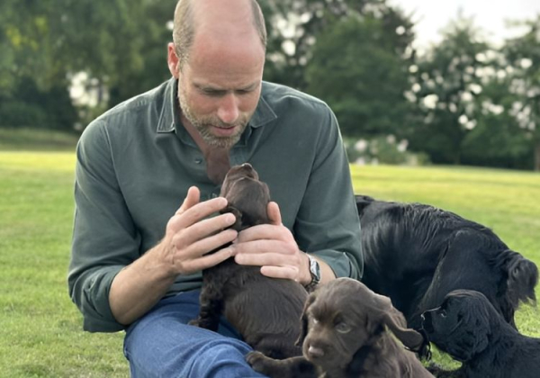 В будинку Кейт і Вільяма з’явився новий проживалець: про кого йдеться - INFBusiness