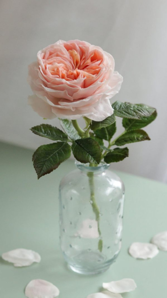 «Люди пишуть, що навіть через екран відчувають аромат моїх квітів», — майстриня з керамічної флористики Юлія Олійник - INFBusiness