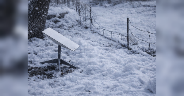 Армію окупантів відкинули на 4 роки назад: що означає втрата нею Telegram і Starlink - INFBusiness