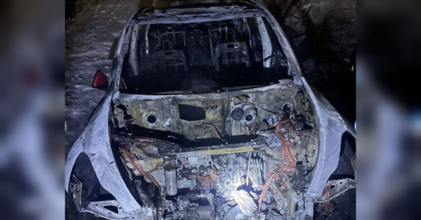 Спалили три Tesla за «20 баксів»: у Києві викрили юних диверсантів - INFBusiness