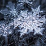 Козорогам краще забути про метушню та поспіх, а Тельцям перенести з’ясування стосунків на інший час: гороскоп на 19 лютого - INFBusiness