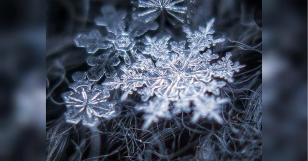 Козорогам краще забути про метушню та поспіх, а Тельцям перенести з’ясування стосунків на інший час: гороскоп на 19 лютого - INFBusiness