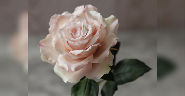 «Люди пишуть, що навіть через екран відчувають аромат моїх квітів», — майстриня з керамічної флористики Юлія Олійник - INFBusiness