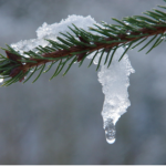 Найлютіші морози позаду, але весняного тепла чекати ще рано: що кажуть синоптики - INFBusiness