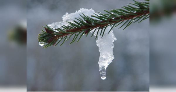 Найлютіші морози позаду, але весняного тепла чекати ще рано: що кажуть синоптики - INFBusiness