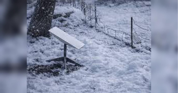 «Все управління лягло»: окупанти втратили контроль над фронтом через збій Starlink - INFBusiness