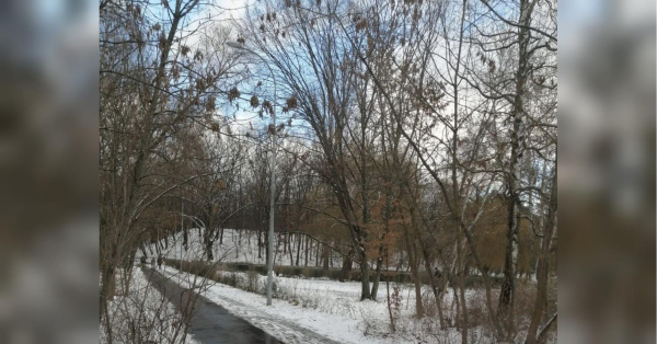 Синоптики обіцяють «комфортний» початок весни, але розслаблятися не варто, особливо водіям - INFBusiness