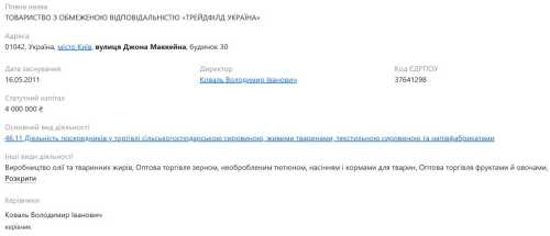 Нардепа Железняка звинуватили у незаконному збагаченні та махінаціях із коштами партії, — ЗМІ - INFBusiness