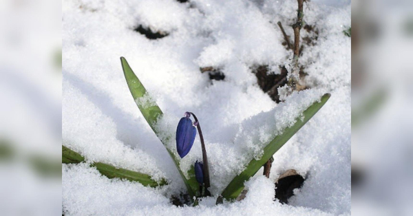 Стрільцям не слід ображатись на близьких, а Козорогам — поспішати з подарунками: гороскоп на 28 лютого - INFBusiness