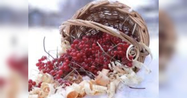 Перший день лютого зірки рекомендують присвятити відновленню та поліпшенню свого побуту, адже комфорт, як відомо, є важливим складником успішної роботи. Ракам сьогодні варто побоюватися нових знайомств, а Тельцям треба відмовитись від алкоголю: гороскоп на 1 лютого - INFBusiness