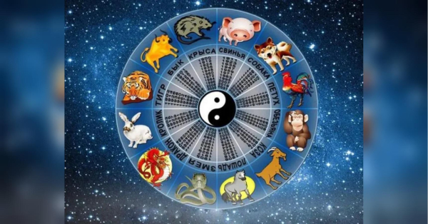 Тиграм та Коням важливо не розпорошуватися, а Драконам — діяти дипломатично: Східний гороскоп на тиждень 23 лютого — 1 березня - INFBusiness