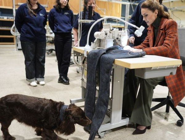 В будинку Кейт і Вільяма з’явився новий проживалець: про кого йдеться - INFBusiness