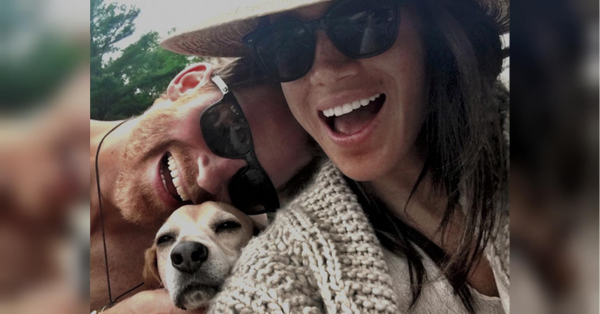 Це огидно: Меган та Гаррі радіють передишці через сексуальний скандал з принцом Ендрю - INFBusiness