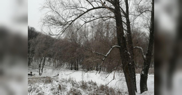 Морози відступають, але ще повернуться: синоптики обіцяють потепління вже завтра - INFBusiness