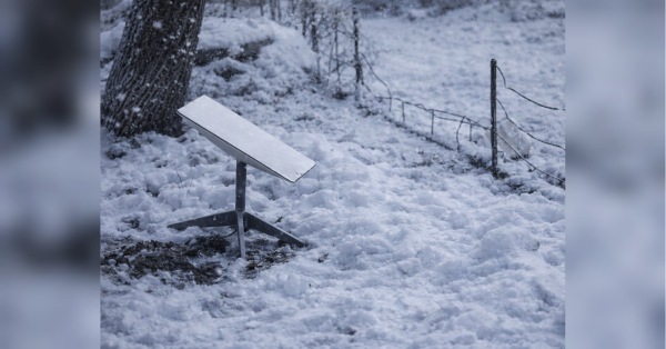 Через відключення Starlink у окупантів назріває бунт проти керівництва - INFBusiness