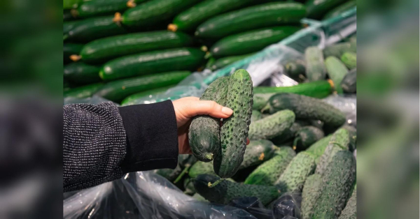 На 10% за тиждень: в Україні зріс у ціні «літній» овоч - INFBusiness