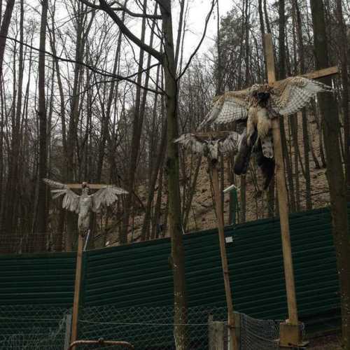 Політики та магія: відьом і чаклунів просять про владу, успіх і прибрати конкурентів - INFBusiness