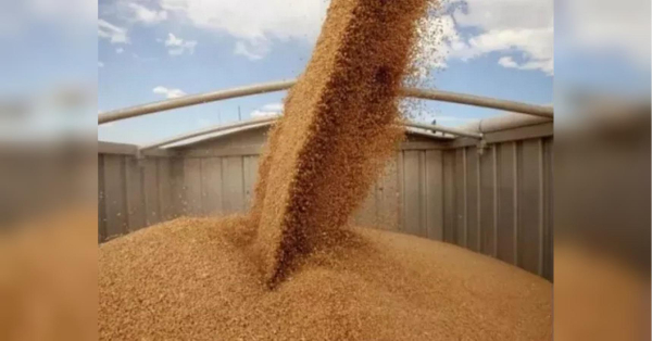 Афера на мільйони: що пишуть ЗМІ про шахрайську схему обкрадання аграріїв - INFBusiness