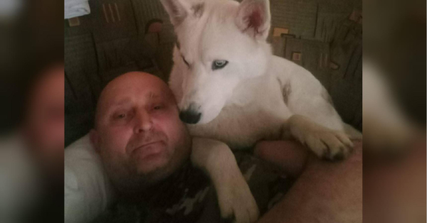 «Під час бойового завдання він нам врятував життя»: історія неймовірної дружби бійця та його собаки Мєлкого, з яким вони разом боронять країну - INFBusiness