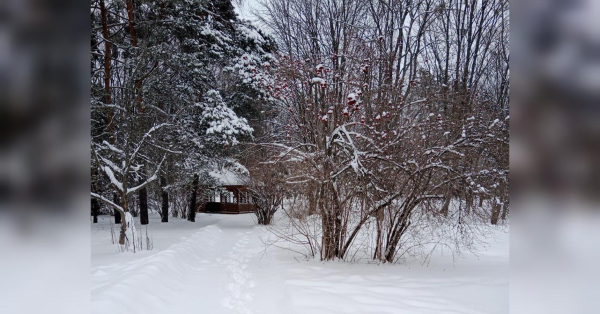 Україна у владі циклону: протягом тижня очікуються хуртовини та температурні гойдалки — від -13 на заході до +11 на півдні - INFBusiness