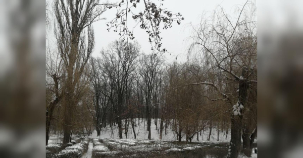 Погода у лютому здивує: синоптик розповів, чого чекати українцям - INFBusiness