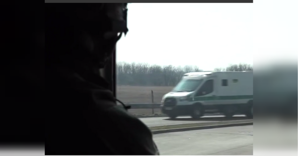 «Вони з’їли зебр, вони вкрали гроші»: в Польщі висміяли угорське затримання інкасаторів «Ощадбанку» - INFBusiness