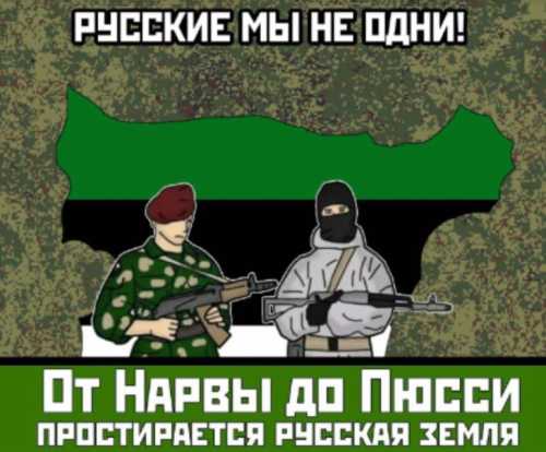 Донецький сценарій для Естонії: як Росія готує створення народної республіки в Нарві - INFBusiness