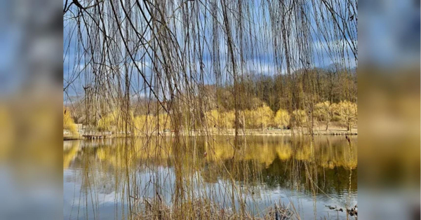 Березень продовжує радувати: яку погоду обіцяють синоптики українцям наступного тижня - INFBusiness