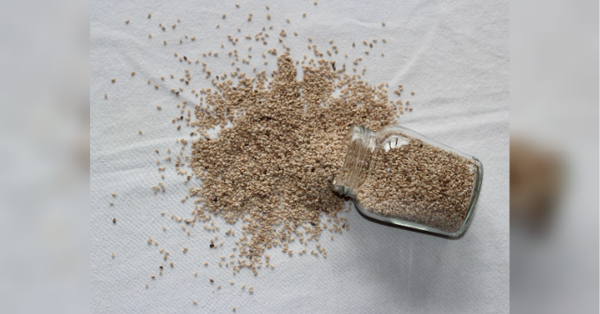 Не поспішайте викидати прострочене насіння: поради городникам від експерта з Великобританії - INFBusiness