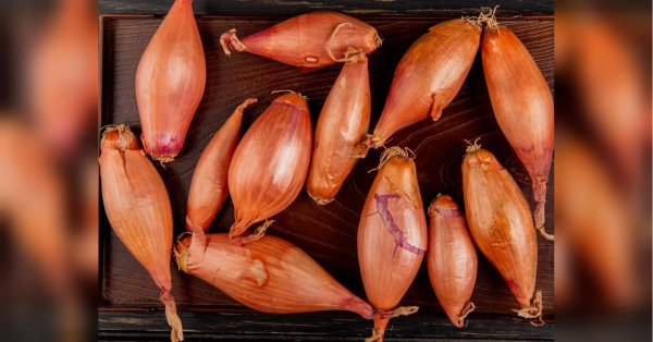 Французи додають цей овоч до страв, щоб підтримати серце: які ще цінні властивості для здоров’я має шалот - INFBusiness